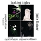 Peaking Lights - Little Flower / Conga Blue